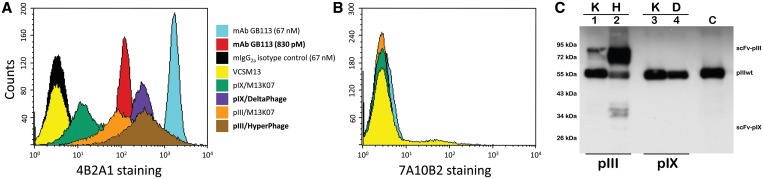 Figure 5.