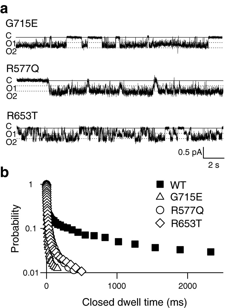 Fig. 7