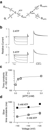 Fig. 5