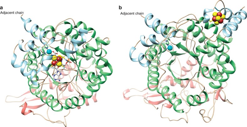 Figure 5