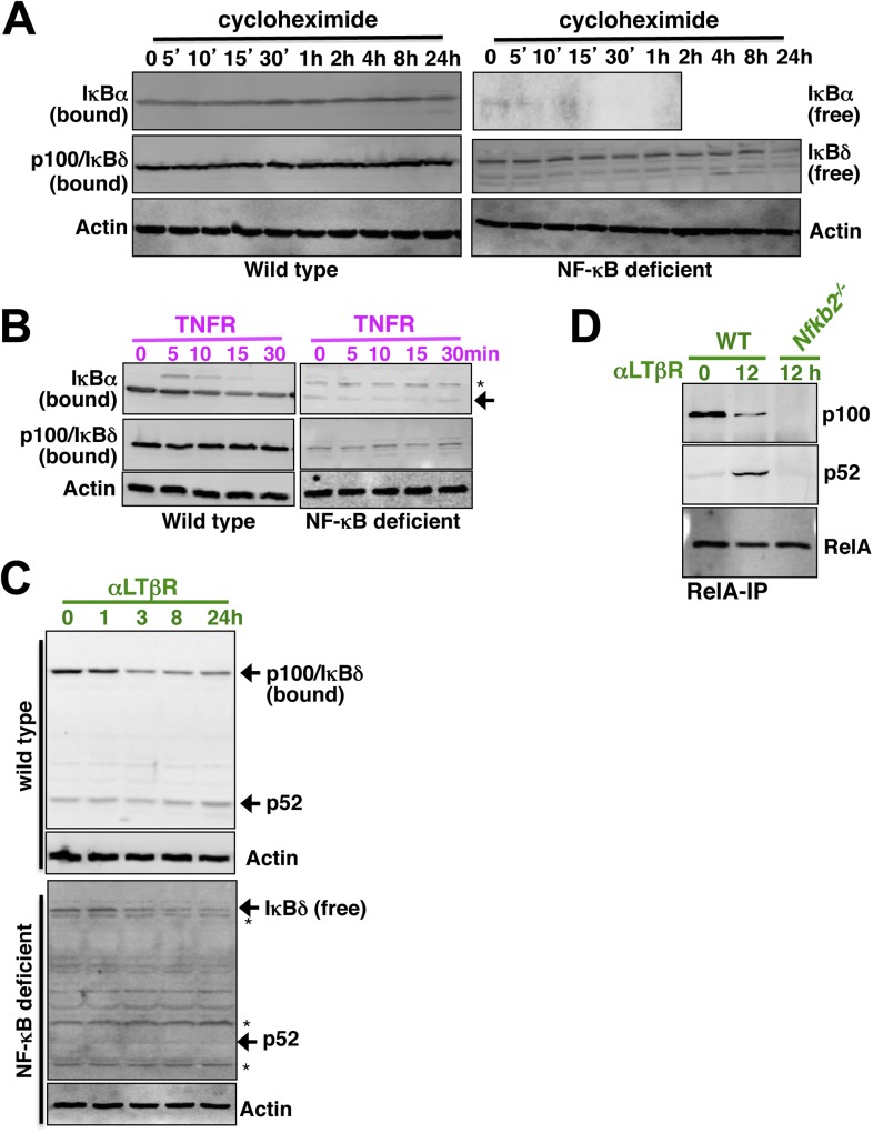 Appendix figure 3.