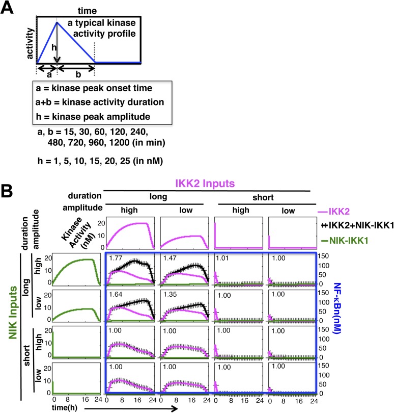 Figure 1—figure supplement 2.