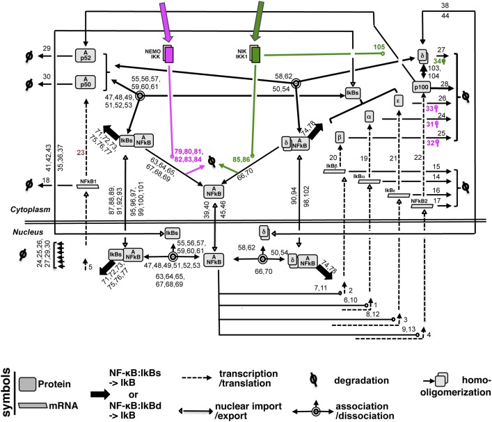 Appendix figure 1.