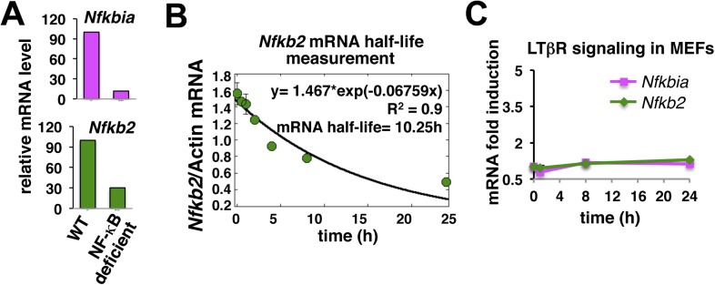 Appendix figure 2.