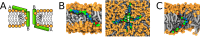 Figure 9.
