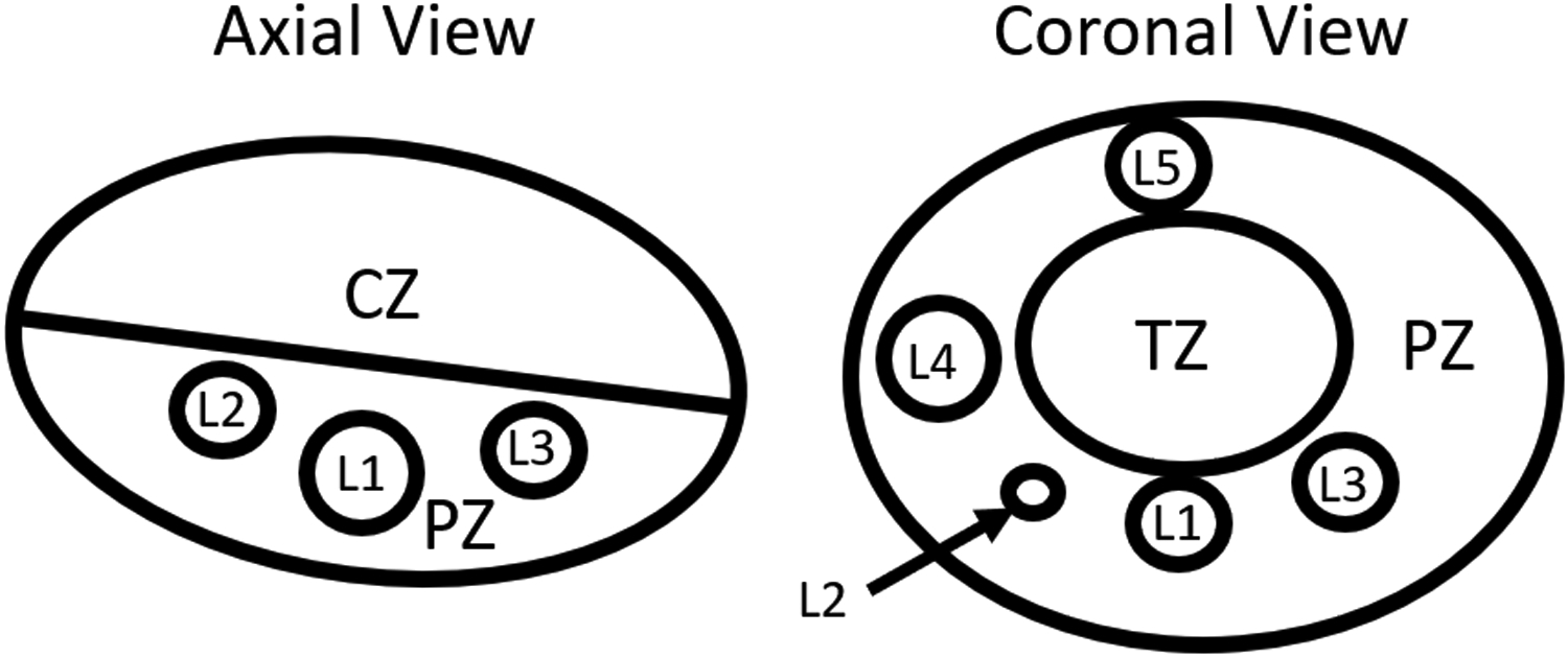 Figure 4: