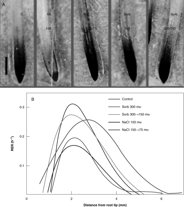 Fig. 5.