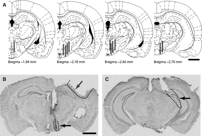 FIG. 4.