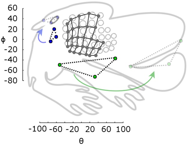 Fig 10