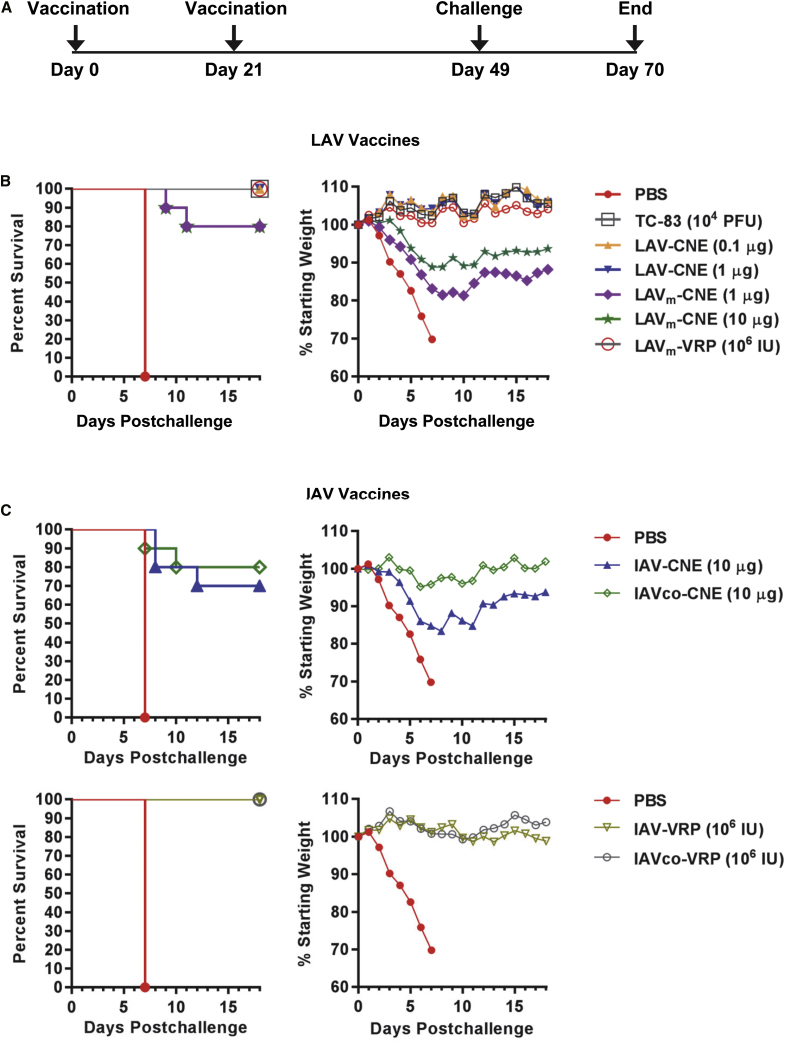 Figure 6