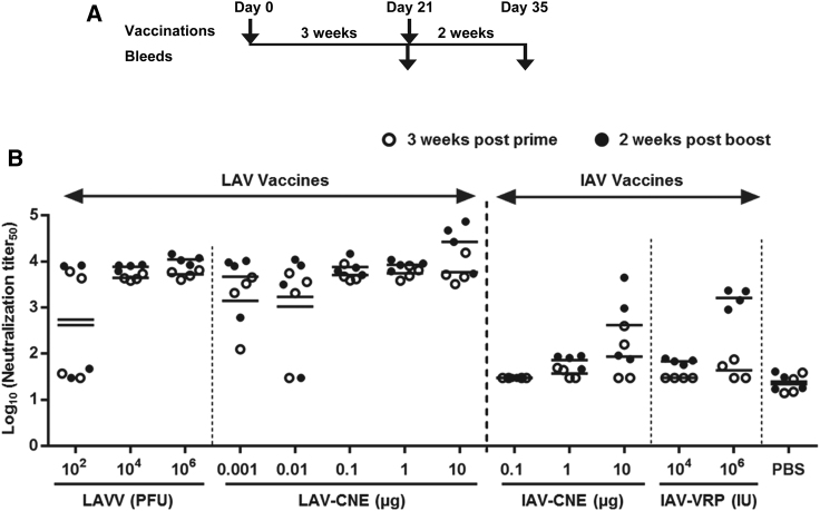Figure 3