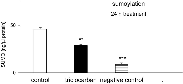 Fig. 11