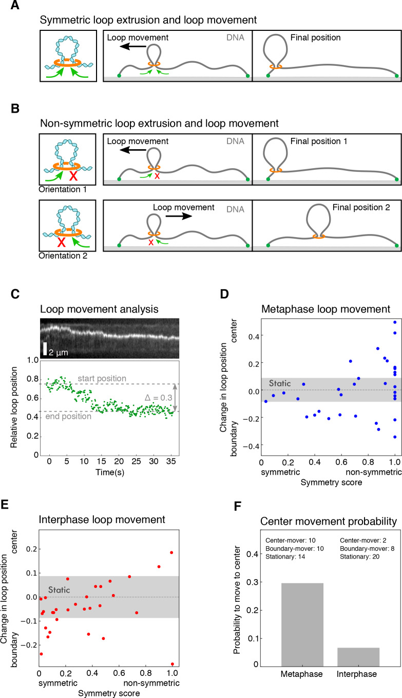 Figure 2—figure supplement 4.