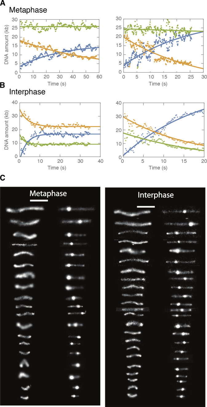 Figure 2—figure supplement 1.