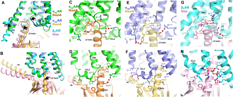 Fig. 6.