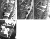 F<sc>ig</sc> 2.