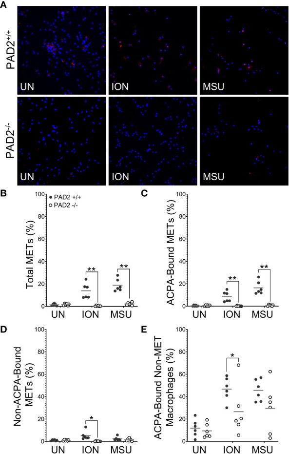 Figure 6