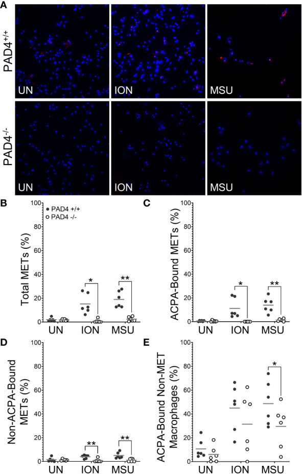 Figure 5