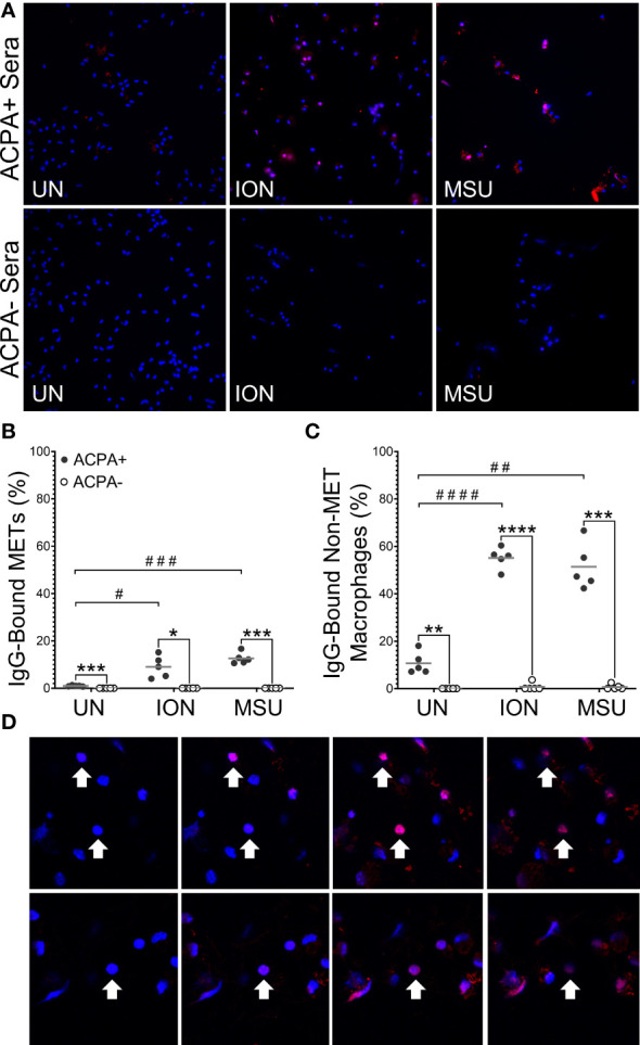 Figure 4