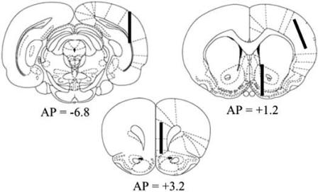 Fig. (1)