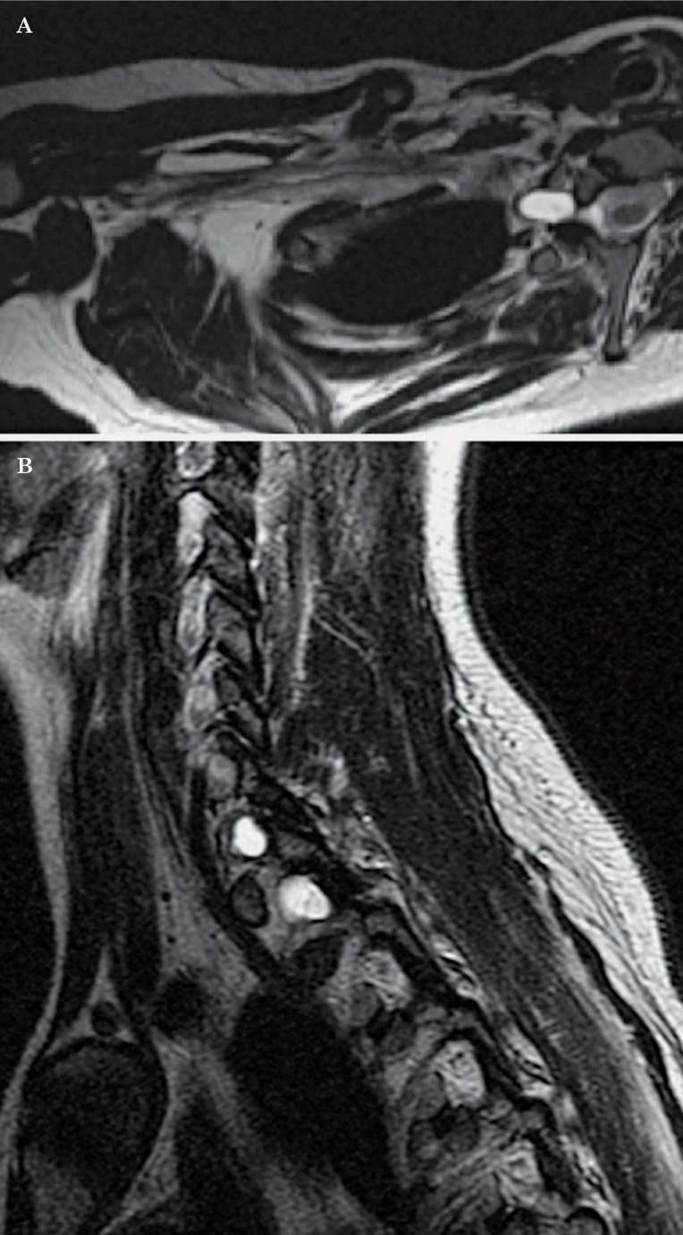 Figure 20