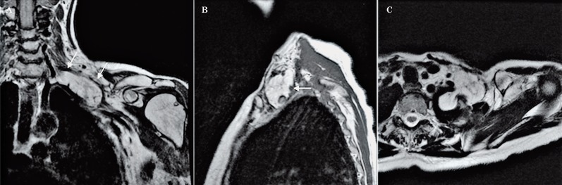 Figure 24