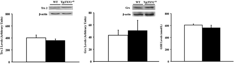 Figure 9.