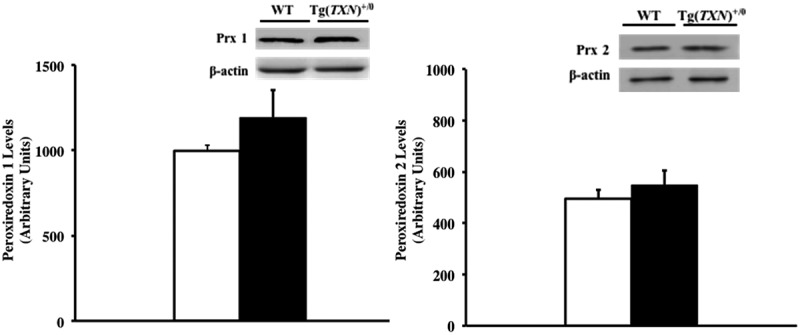 Figure 10.