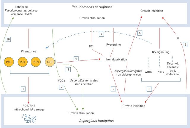 FIGURE 1