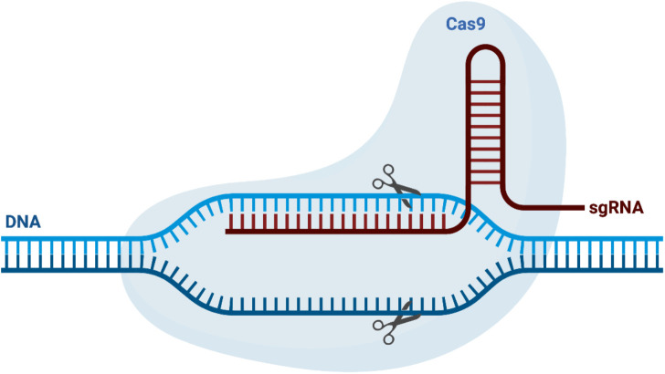 Figure 1.