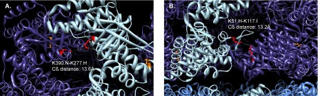 Fig. 5.