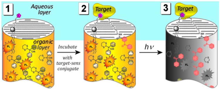 Fig. 11