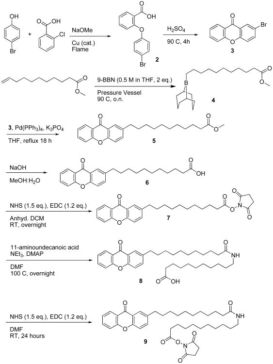 Scheme 4