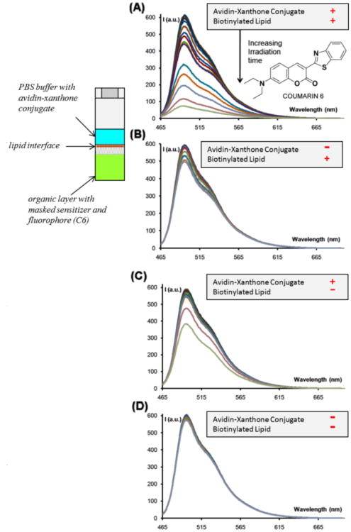 Fig. 12