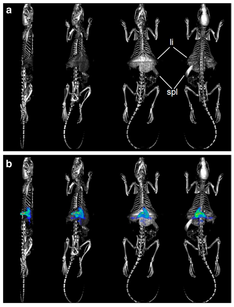 Figure 12