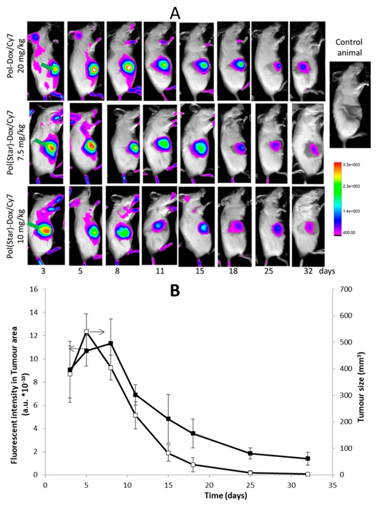 Figure 10