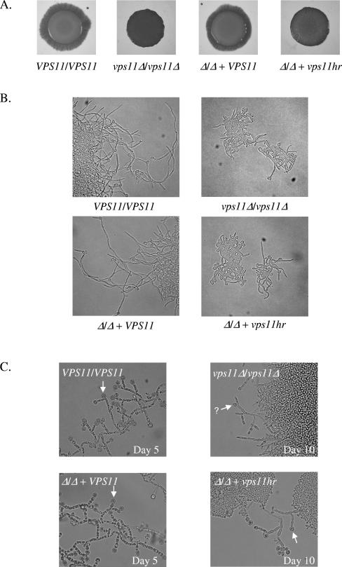 FIG. 4.