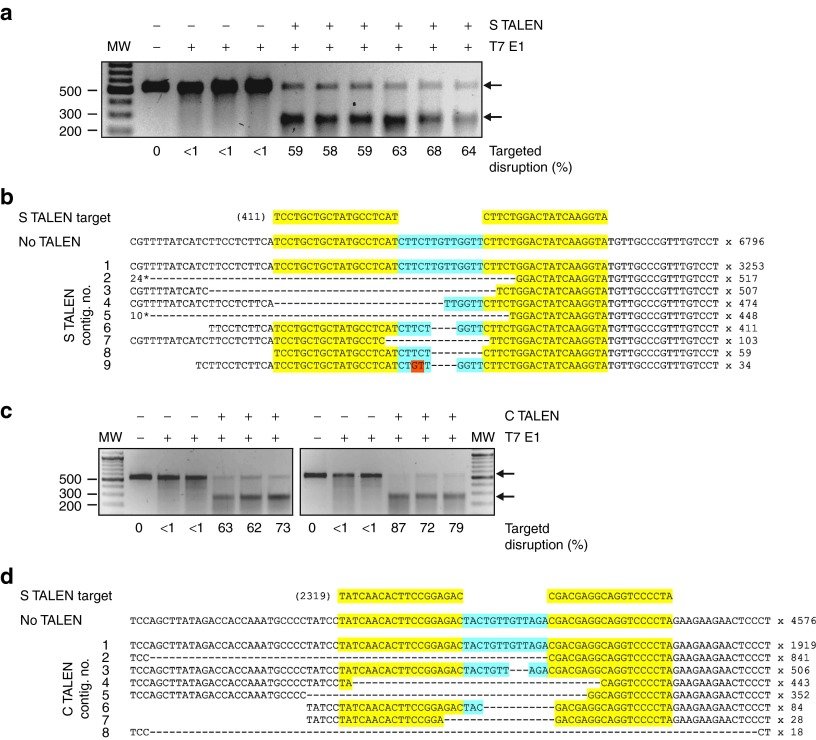 Figure 6