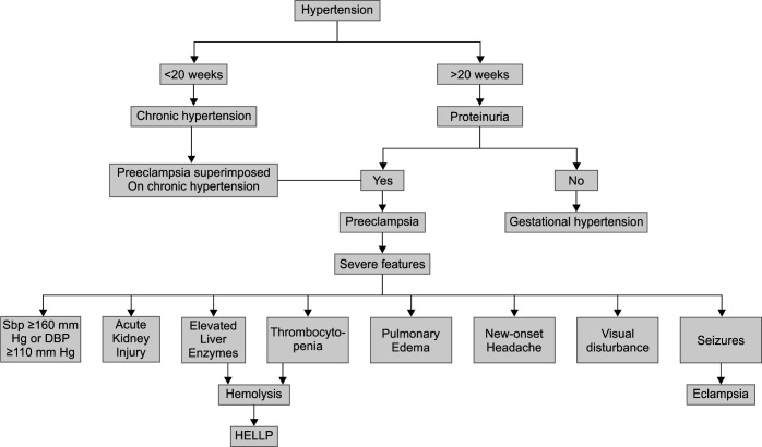 Flowchart 1