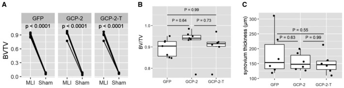 Figure EV3