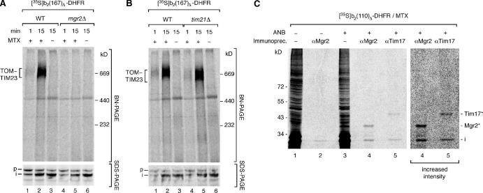 Figure 5.