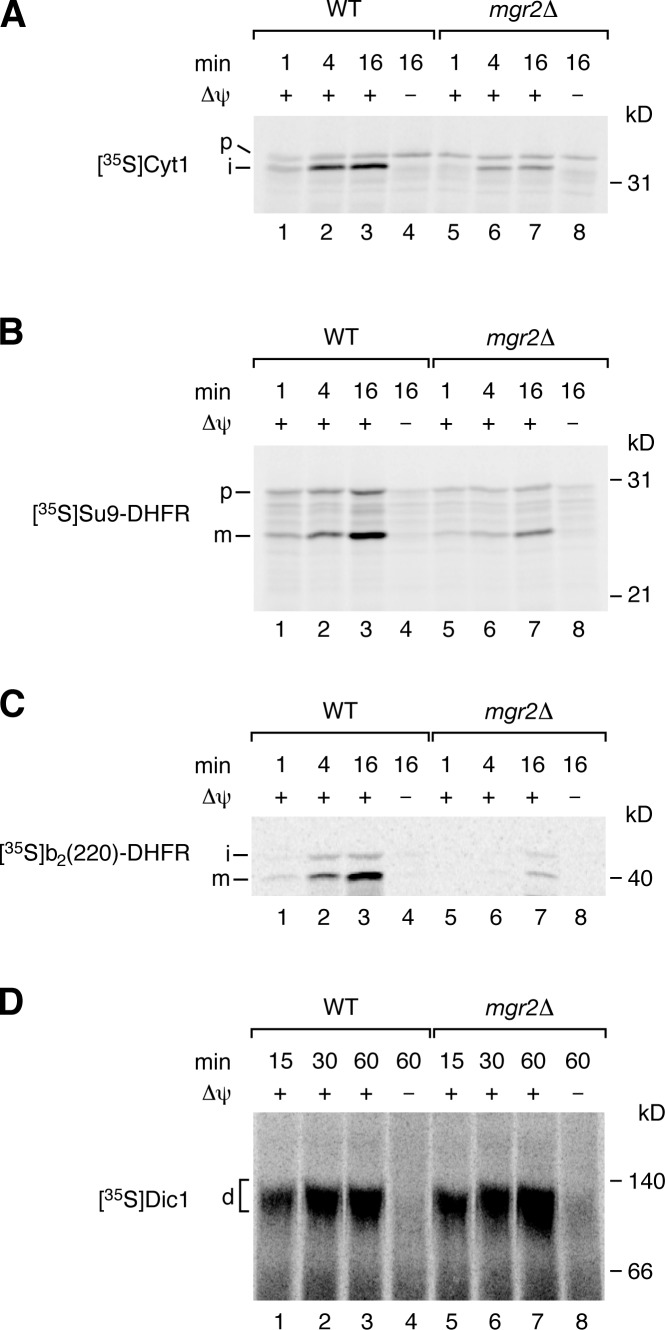 Figure 3.