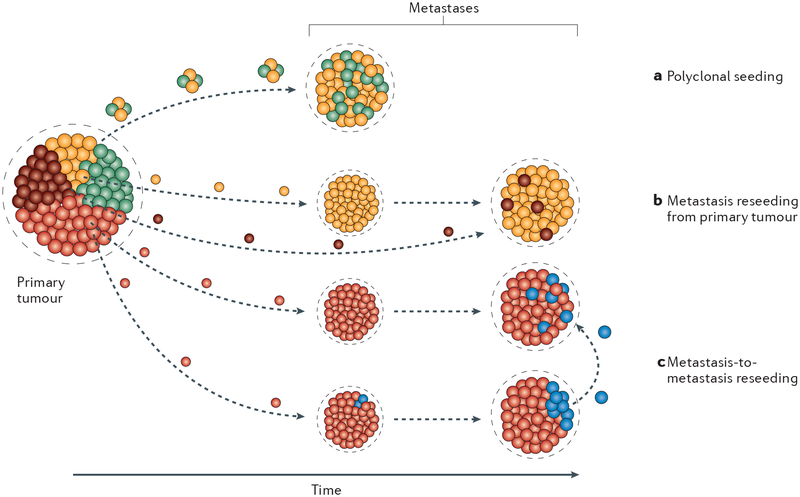 Fig. 2 |