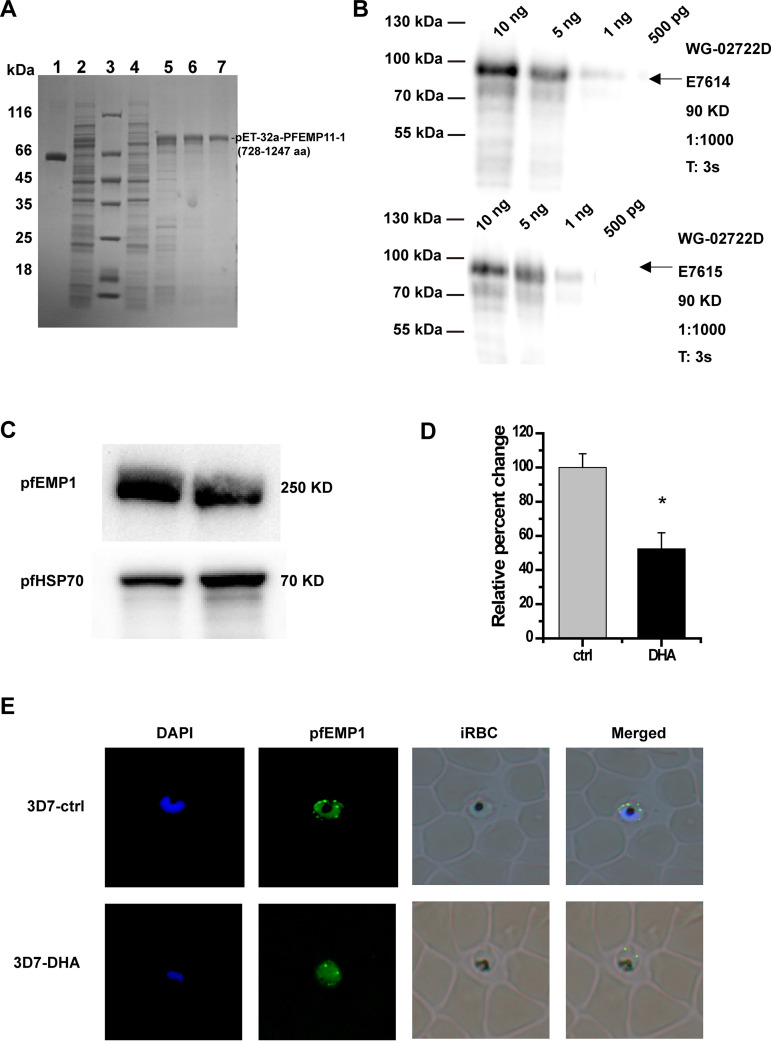 FIG 6