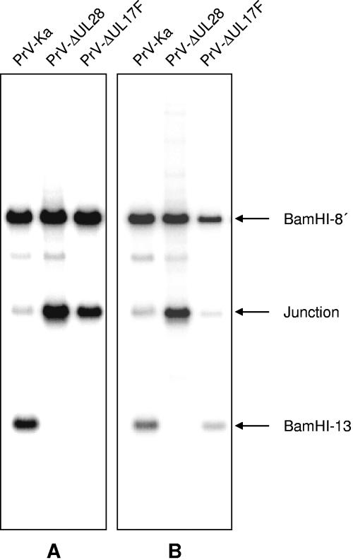 FIG. 7.