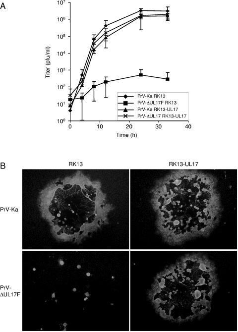 FIG. 6.