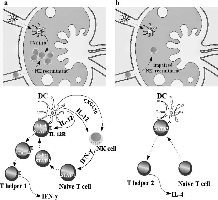 Figure 2 (a, b)