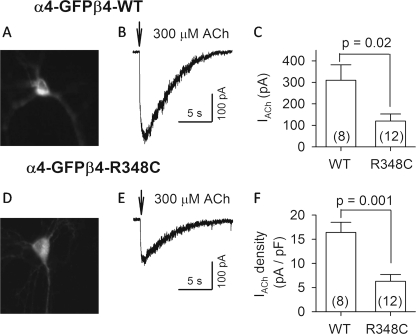 FIGURE 6.