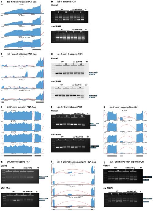 Extended Data Figure 4