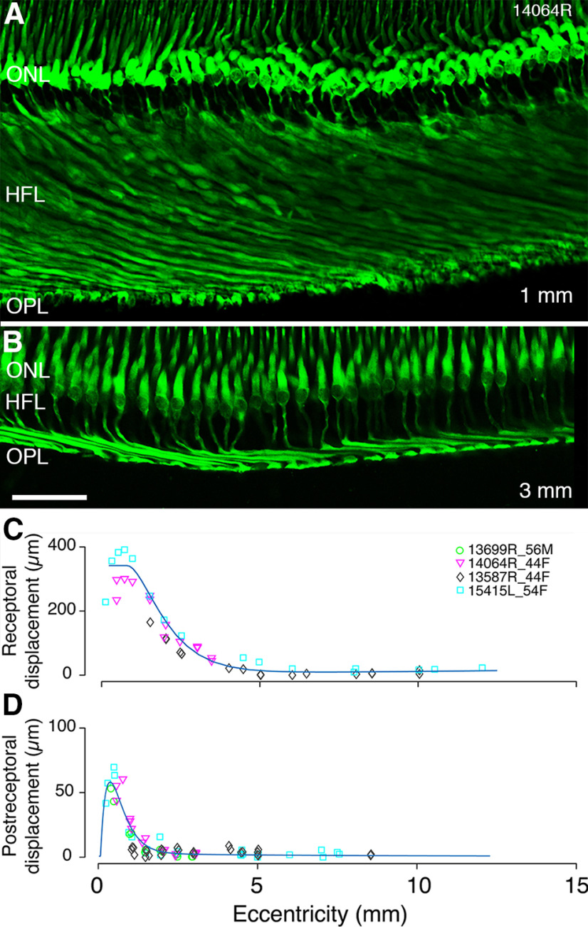 Figure 11.